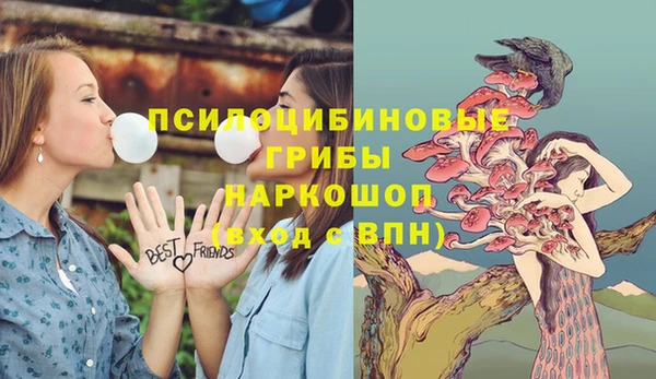 прущие крисы Абаза
